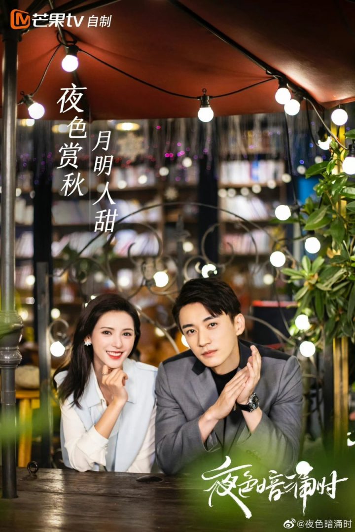 Love at Night, Cinta yang Bermula dari Suatu Malam